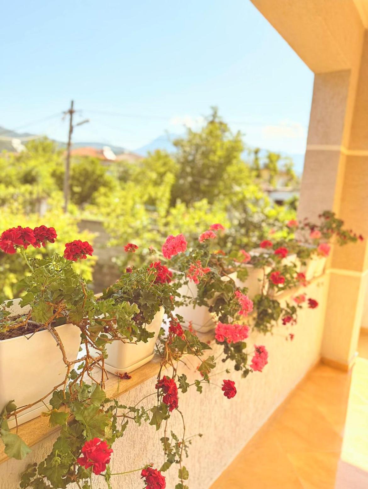 Anel'S Guesthouse Berat Dış mekan fotoğraf